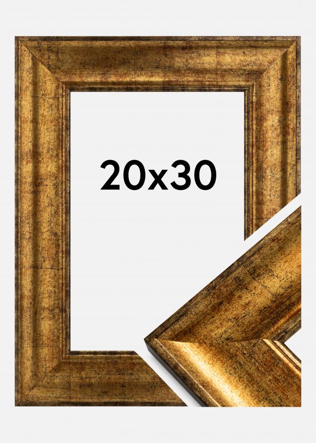 Rahmen Saltsjöbaden Gold  20x30 cm