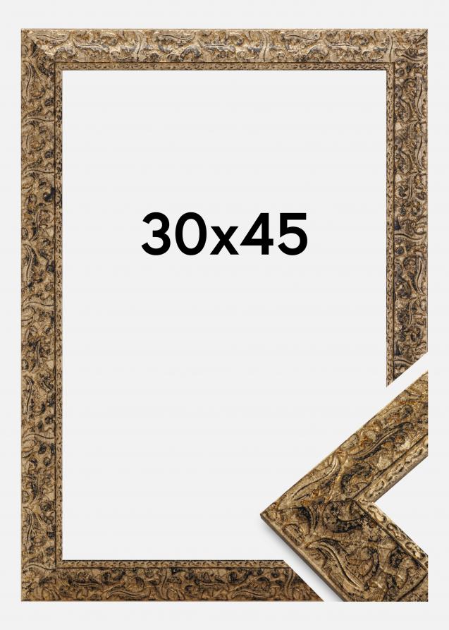 Rahmen Ralph Gold 30x45 cm