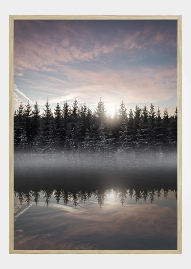 Small Lake In The Forest Poster