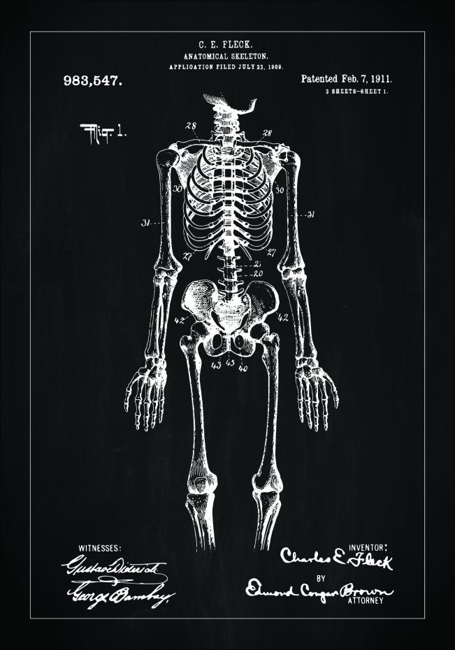 Patentzeichnung - Anatomisches Skelett I - Schwarz Poster