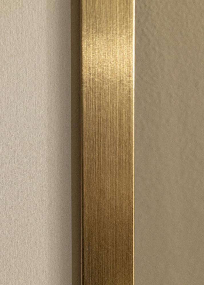 Rahmen Selection Gold 70x100 cm - Passepartout Wei 24x36 inches