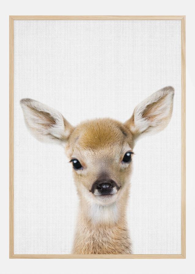 Peekaboo Baby Deer Poster