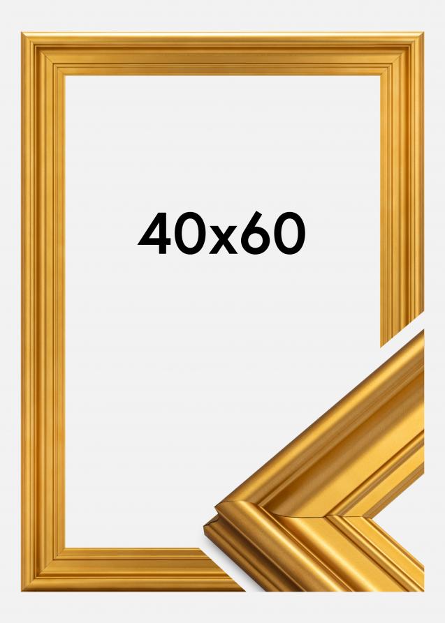 Rahmen Mora Premium Gold 40x60 cm