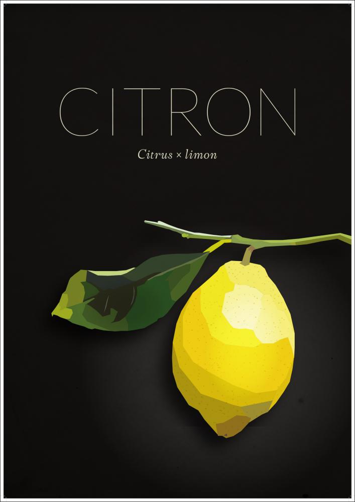 Zitrone Poster