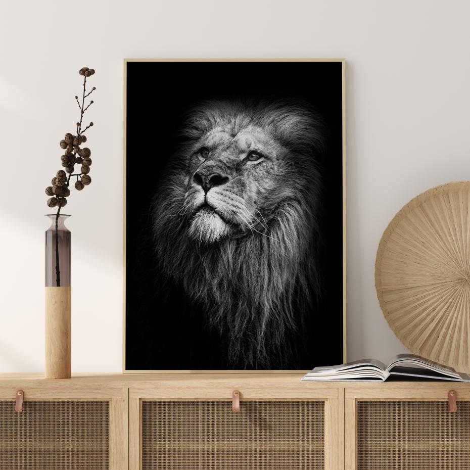 King Of Lions Poster