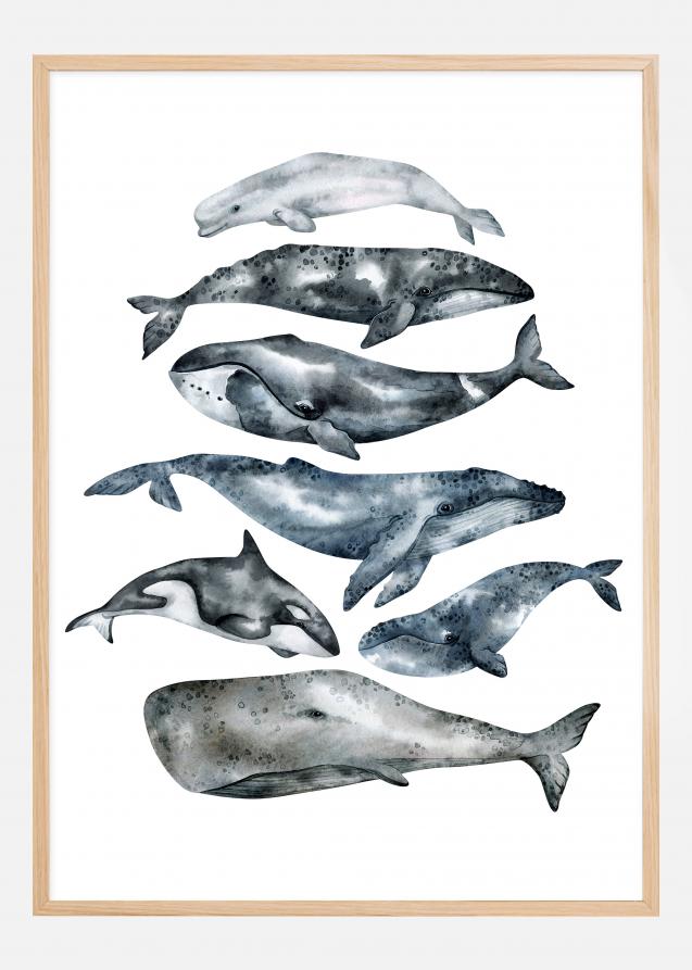Whales Poster