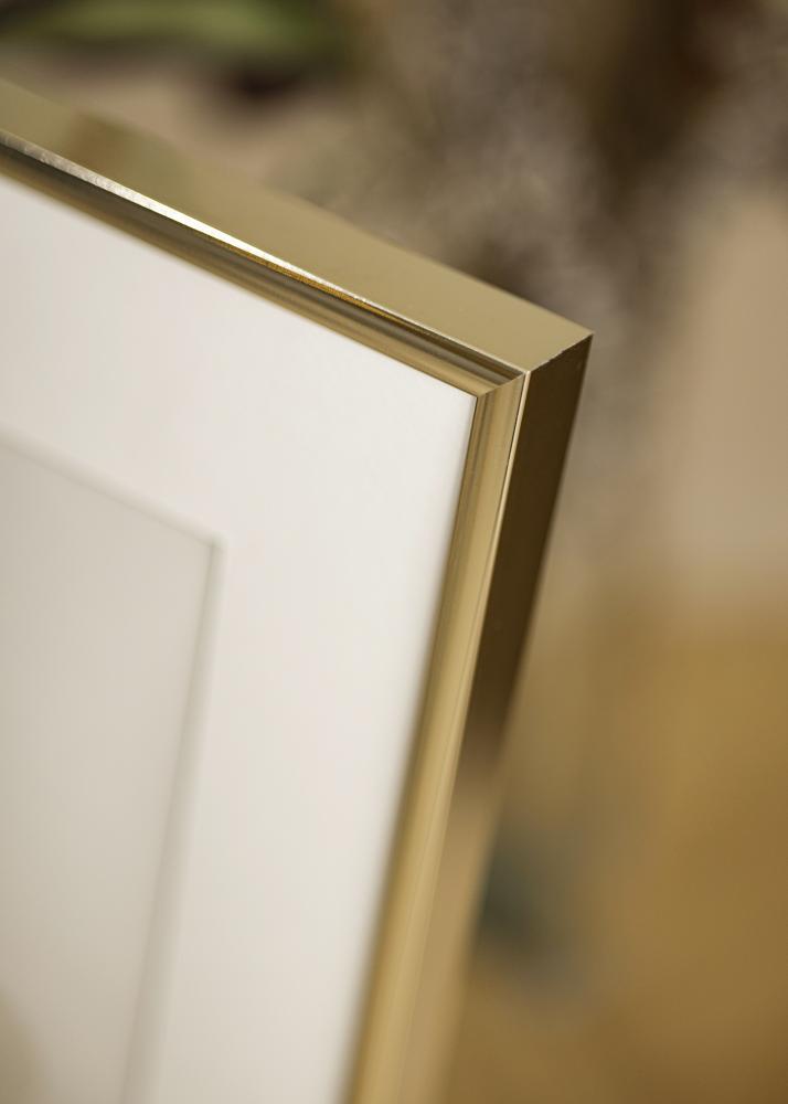 Rahmen Aluminium Gold glnzend 40x50 cm - Passepartout Wei 12x16 inches