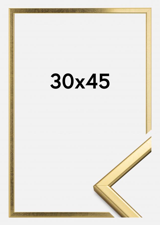 Rahmen Slim Matt Antireflexglas Gold 30x45 cm