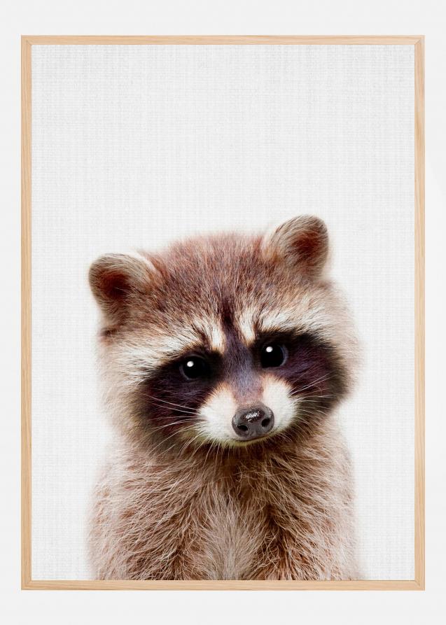 Peekaboo Raccoon Poster