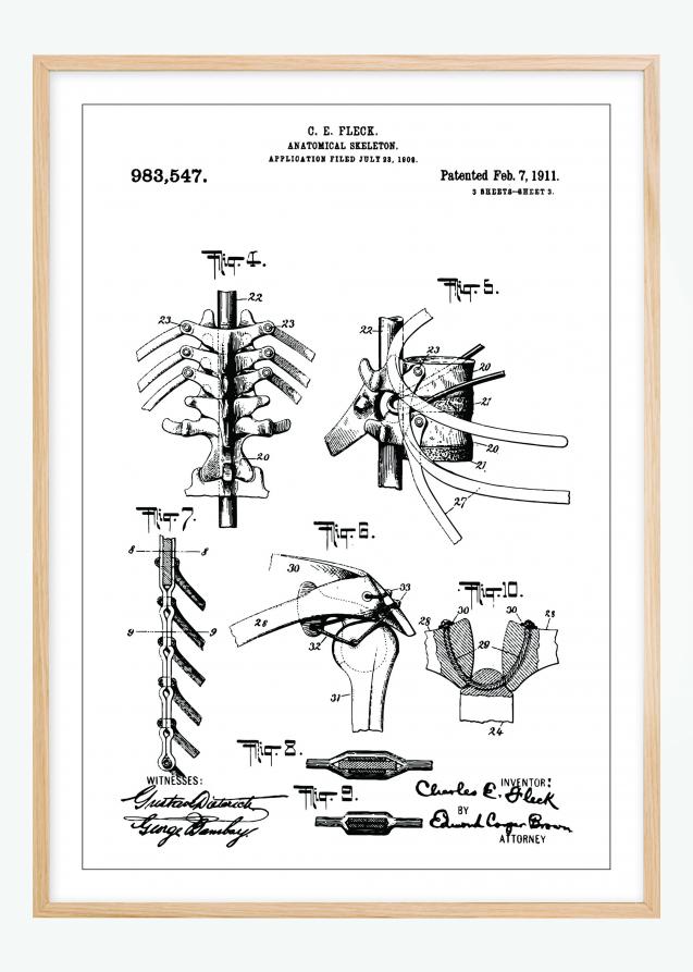 Patentzeichnung - Anatomisches Skelett III Poster