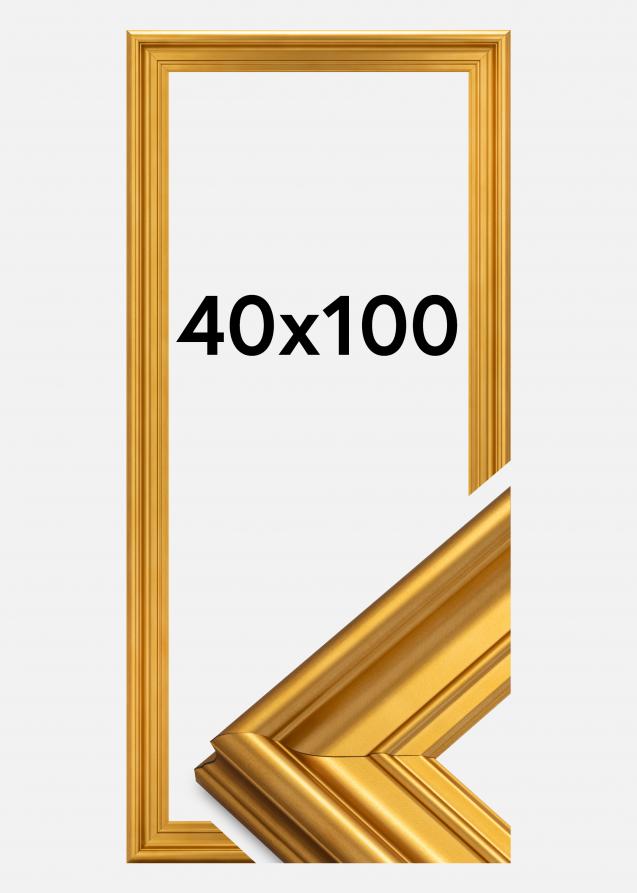 Rahmen Mora Premium Gold 40x100 cm