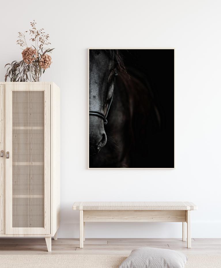 Dark Horse Poster