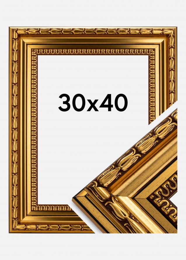 Rahmen Birka Premium Gold 30x40 cm