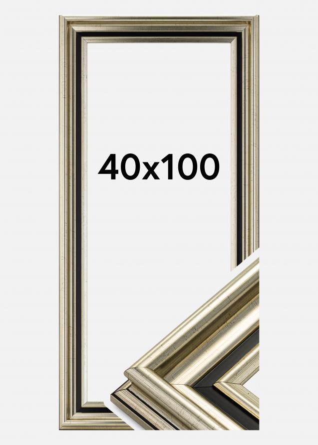 Rahmen Gysinge Premium Silber 40x100 cm