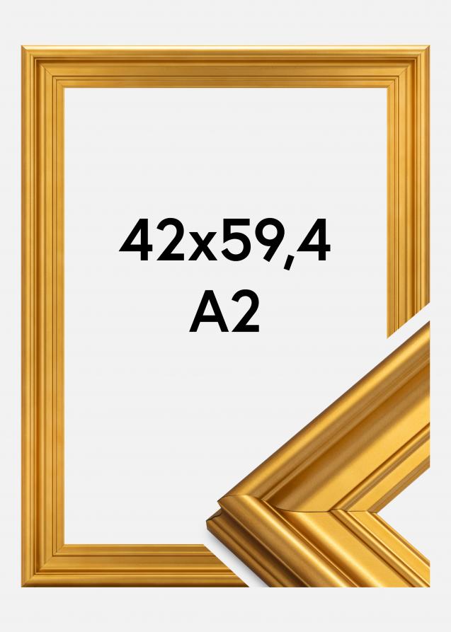 Rahmen Mora Premium Gold 42x59,4 cm (A2)