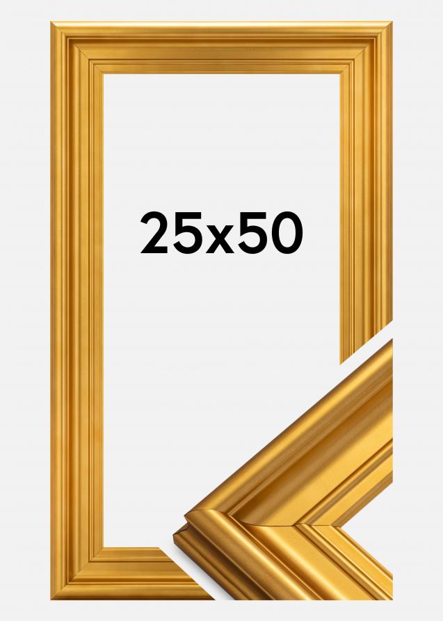 Rahmen Mora Premium Gold 25x50 cm