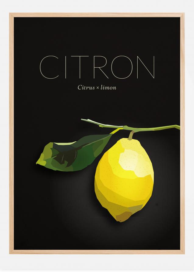 Zitrone Poster