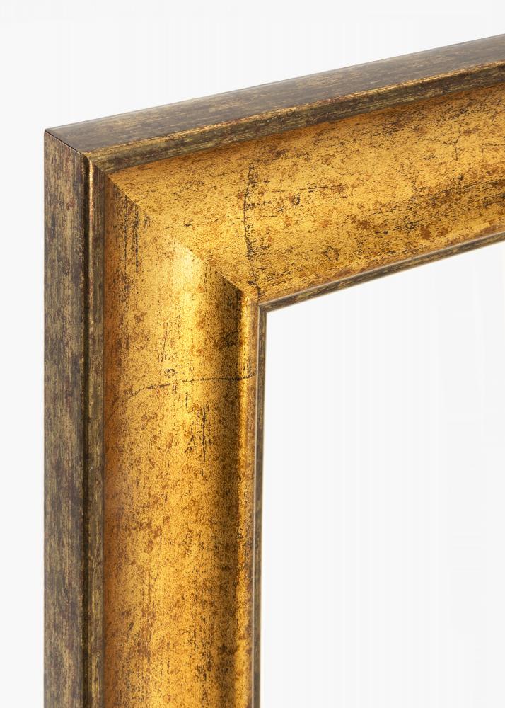 Rahmen Saltsjbaden Acrylglas Gold 18x24 cm
