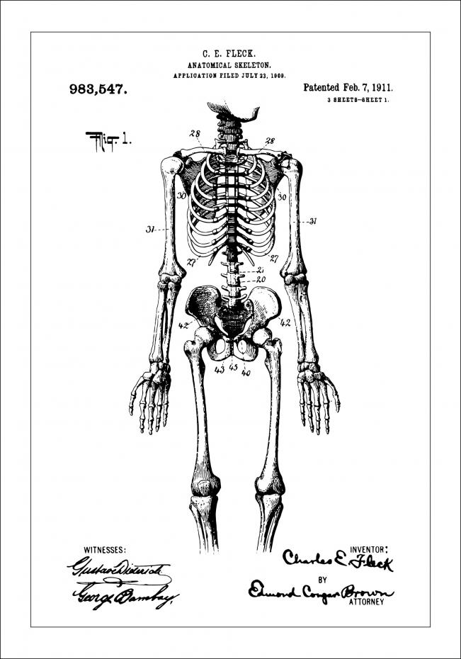 Patentzeichnung - Anatomisches Skelett I Poster