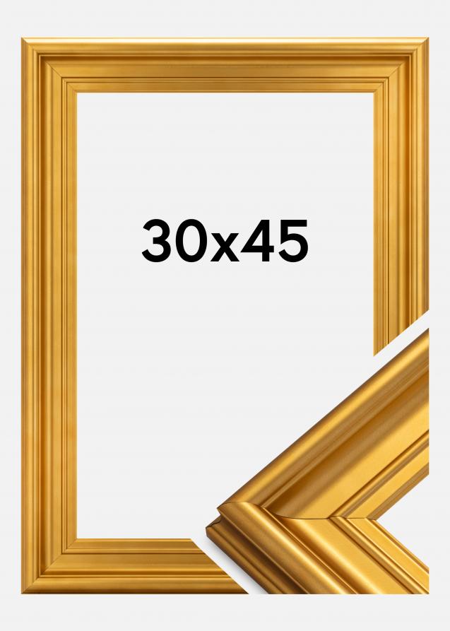 Rahmen Mora Premium Gold 30x45 cm