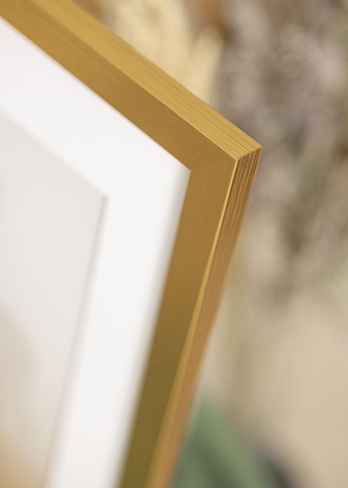 Rahmen Gold Wood Acrylglas 18x57 cm