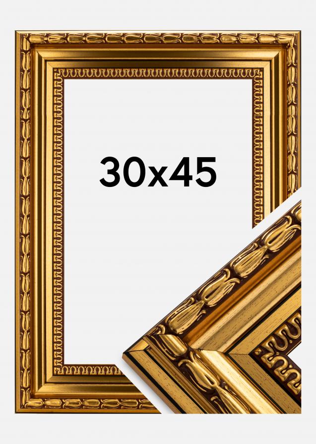 Rahmen Birka Premium Gold 30x45 cm