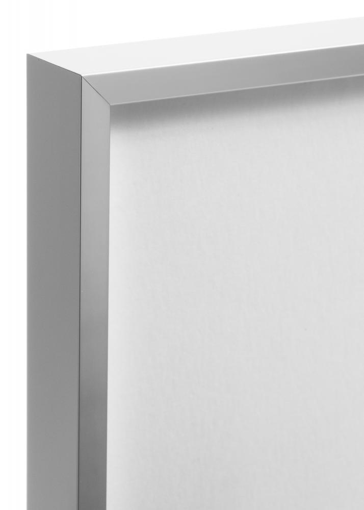 Rahmen Nielsen Premium Alpha Blank Silber 50x100 cm