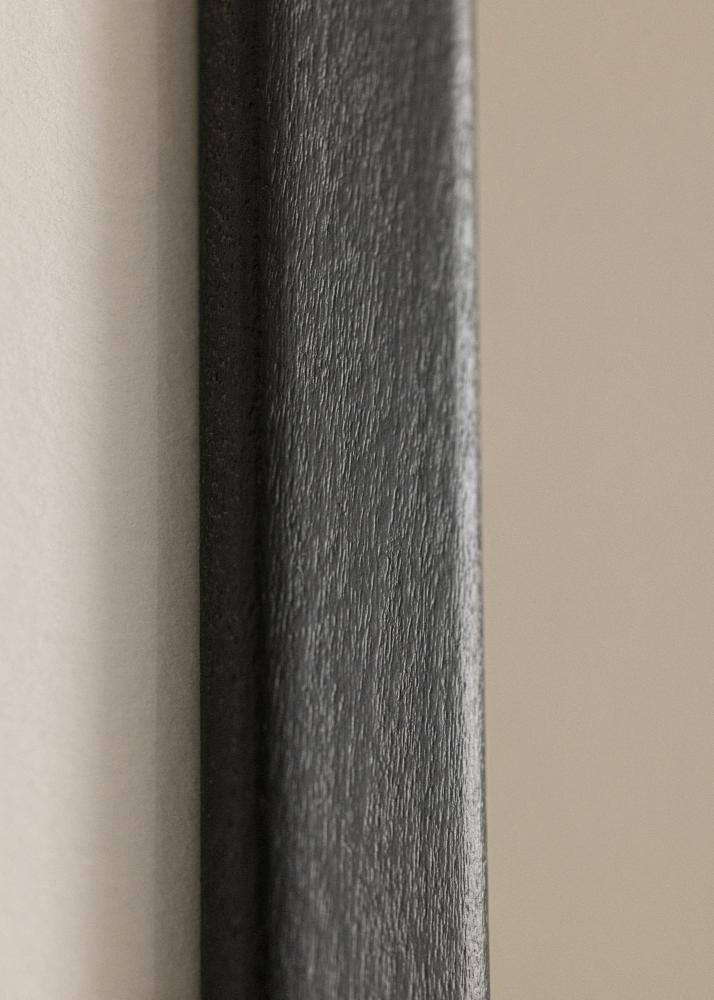 Rahmen Kaspar Acrylglas Schwarz 25x60 cm