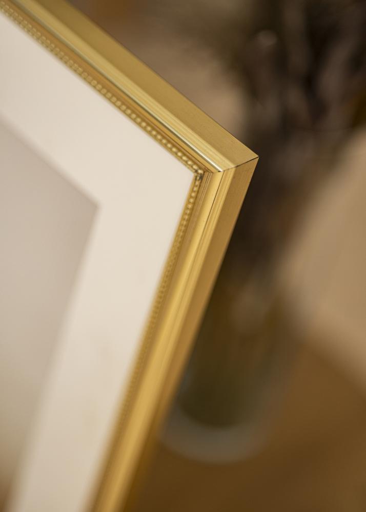 Rahmen Gala Acrylglas Gold 40x50 cm
