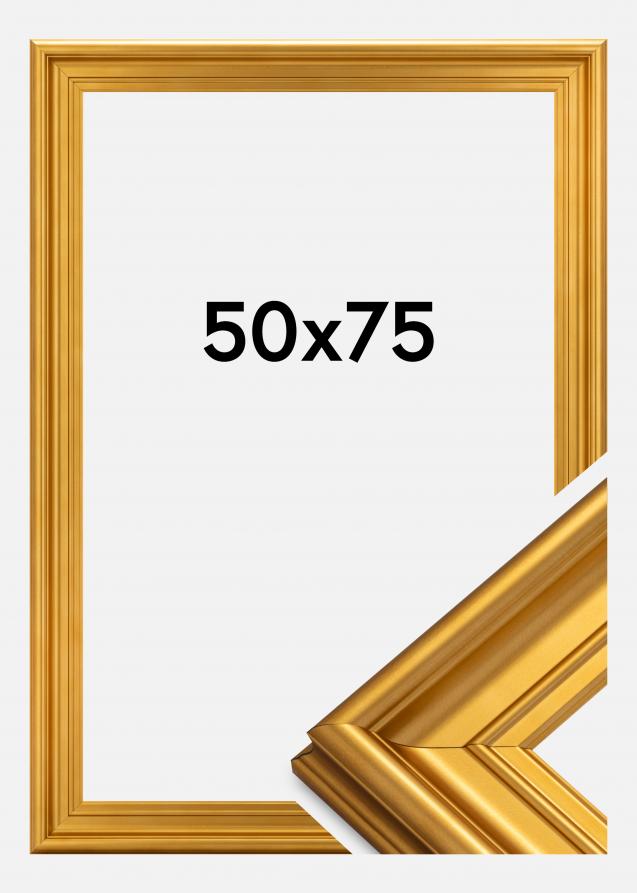 Rahmen Mora Premium Gold 50x75 cm