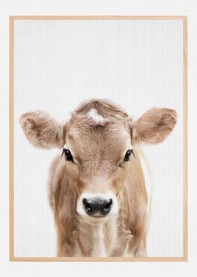 Peekaboo Baby Cow Poster