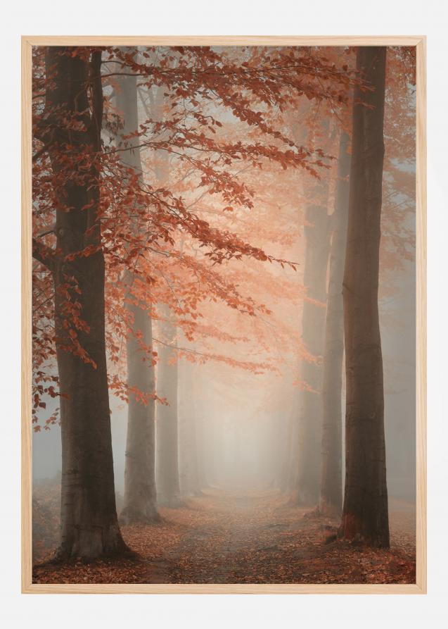 Autumn Dream Poster