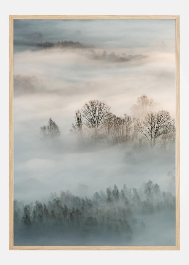 Winter Fog Poster