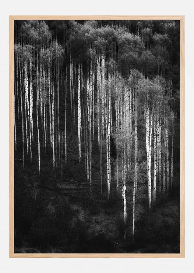 Forest Art Poster