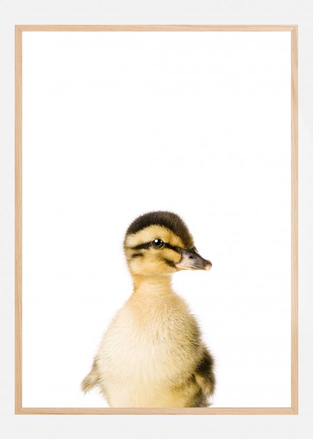 Baby Duck Poster