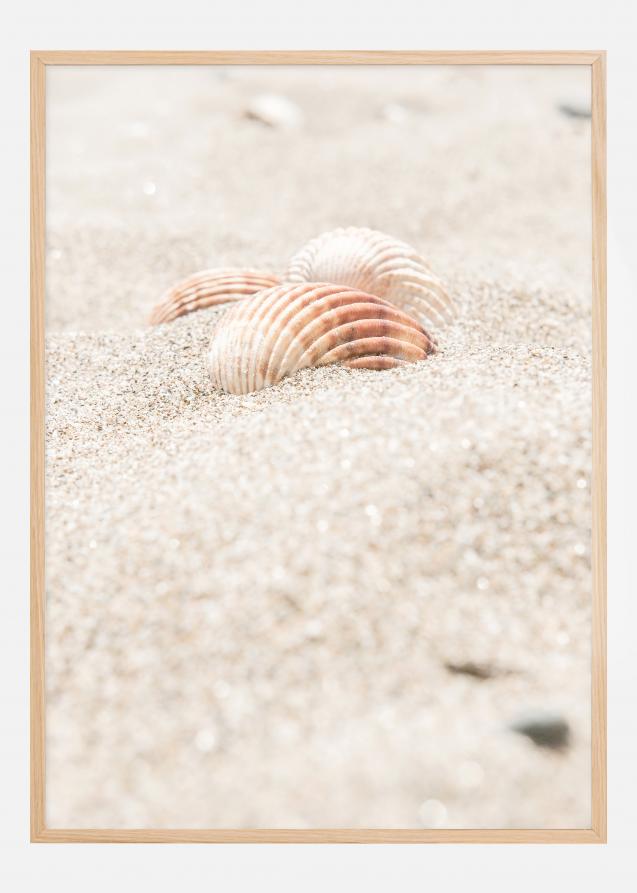 Seashell beach Poster