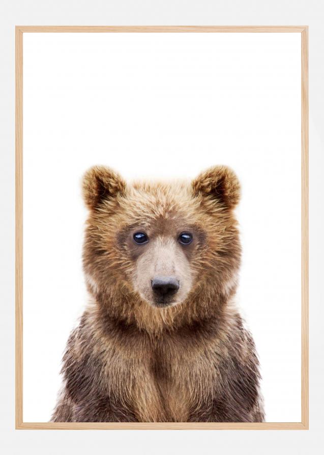Baby Bear Poster
