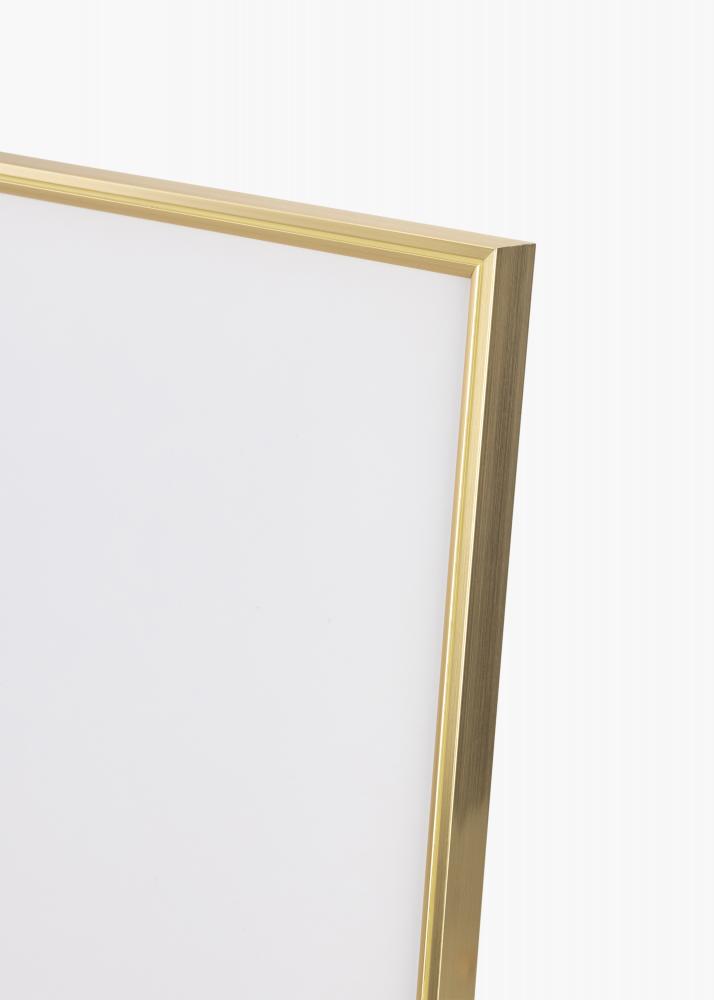Rahmen Hipster Acrylglas Gold 59,4x84 cm (A1)