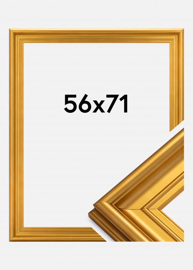 Rahmen Mora Premium Gold 56x71 cm