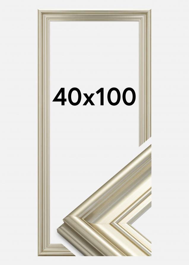 Rahmen Mora Premium Silber 40x100 cm