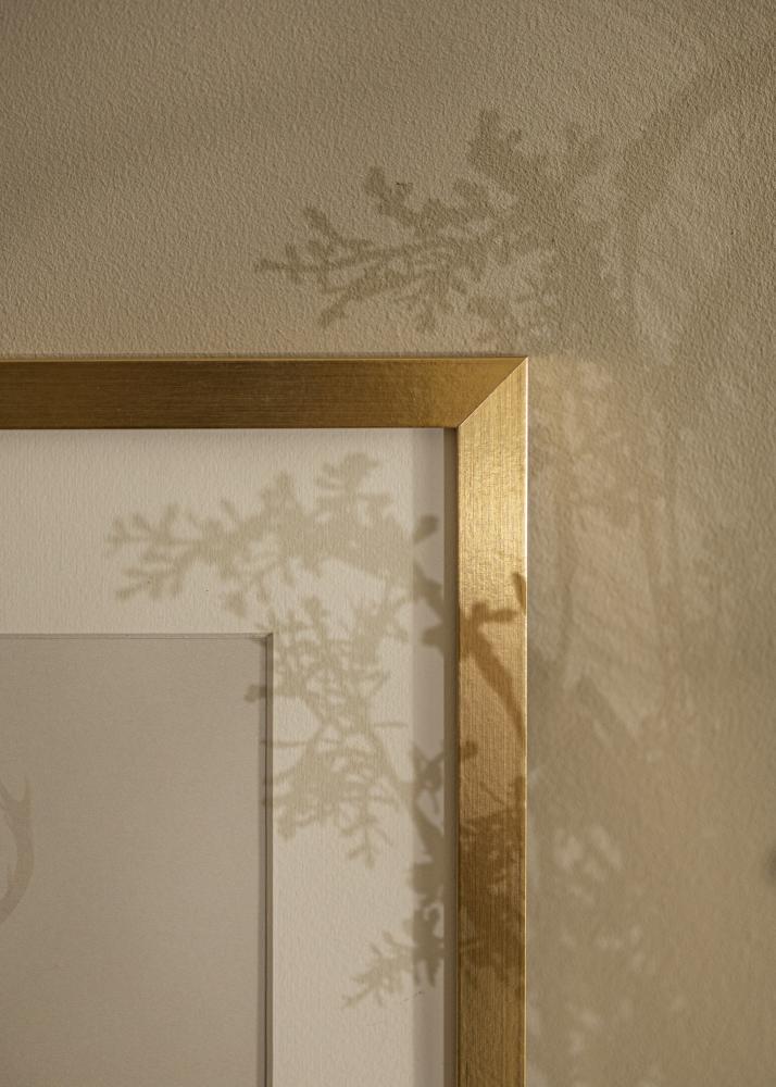 Rahmen Selection Gold 70x100 cm - Passepartout Wei 24x36 inches