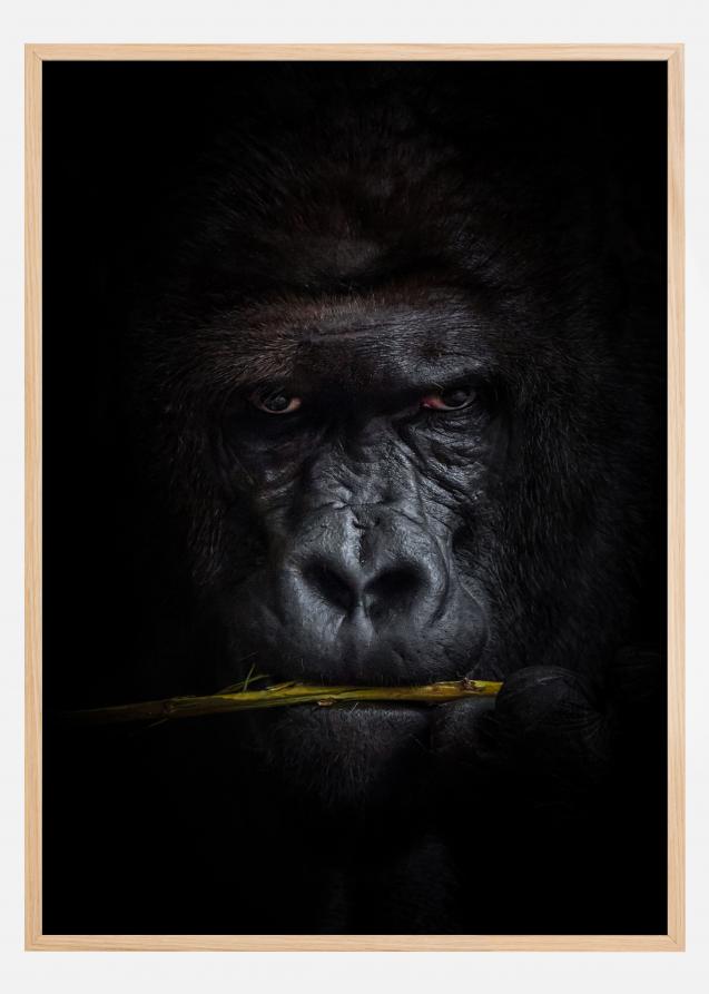 Mysterious gorilla Poster