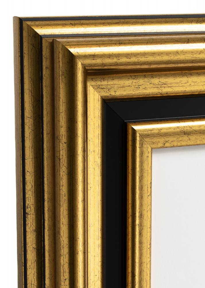 Rahmen Gysinge Premium Gold 35x100 cm