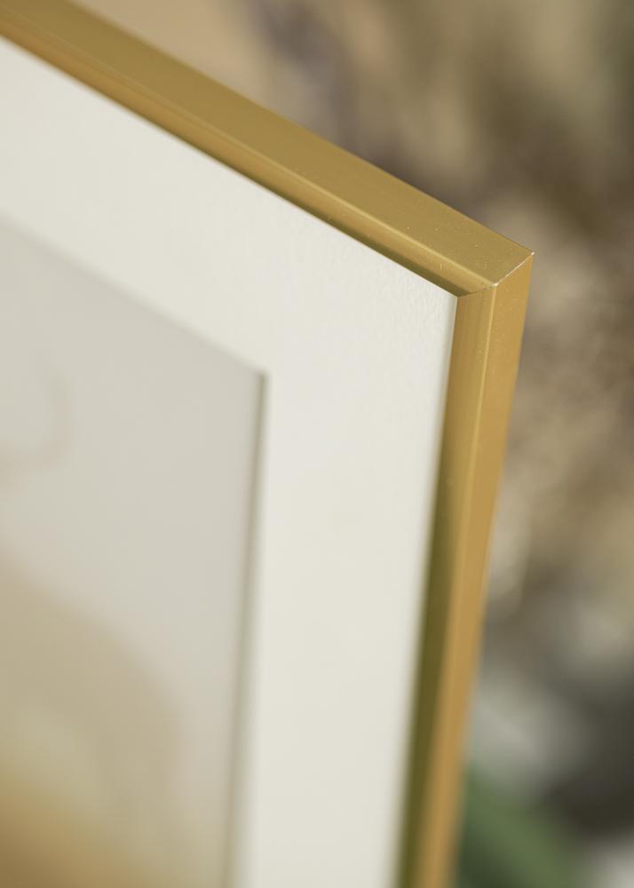 Rahmen New Lifestyle Shiny Gold 40x50 cm - Passepartout Wei 30x40 cm