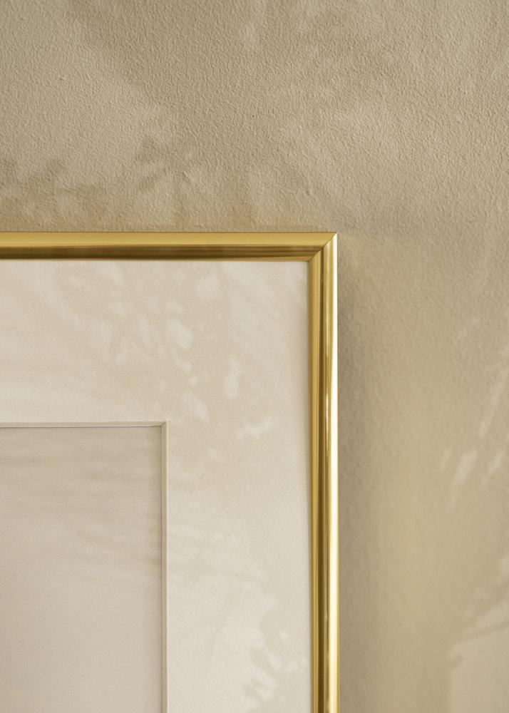 Rahmen Visby Acrylglas Gold Glnzend 30x40 cm