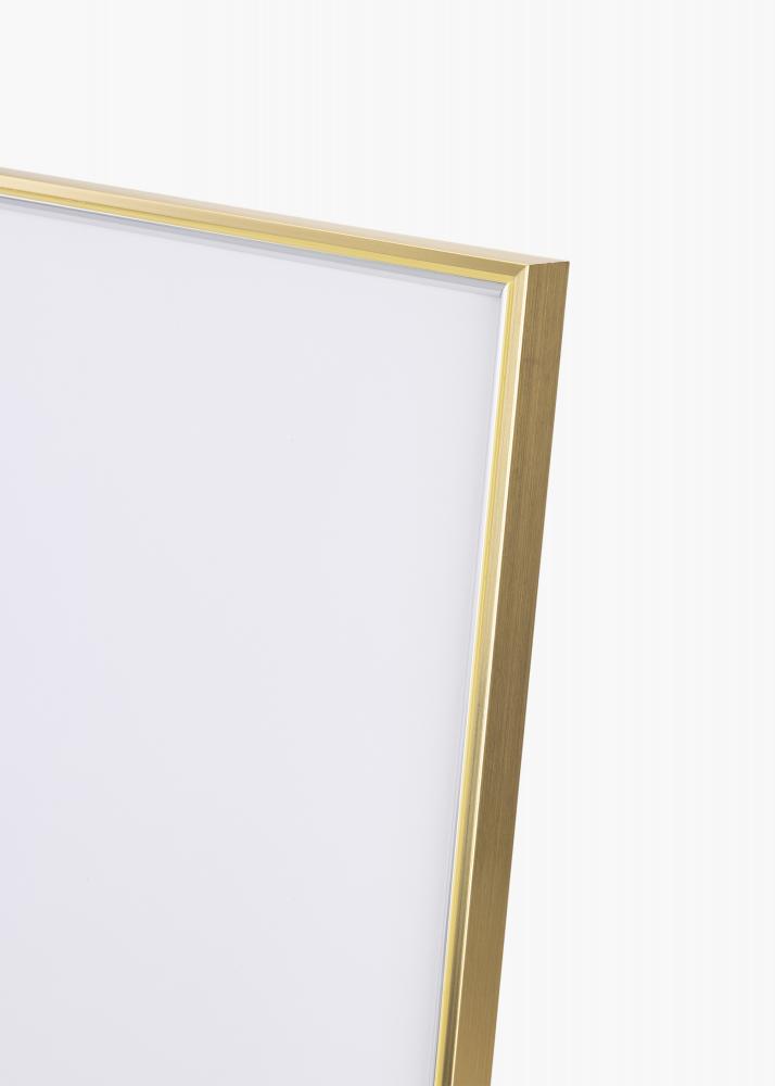 Rahmen Hipster Acrylglas Gold-Silber 60x80 cm