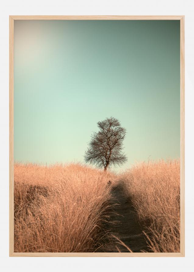 Grass And Path Poster