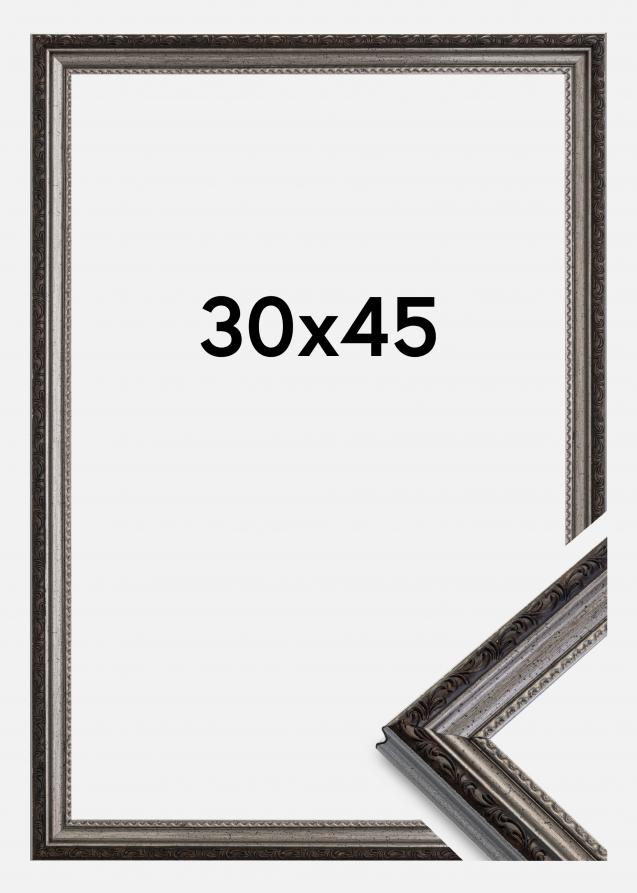 Rahmen Abisko Acrylglas Silber 30x45 cm