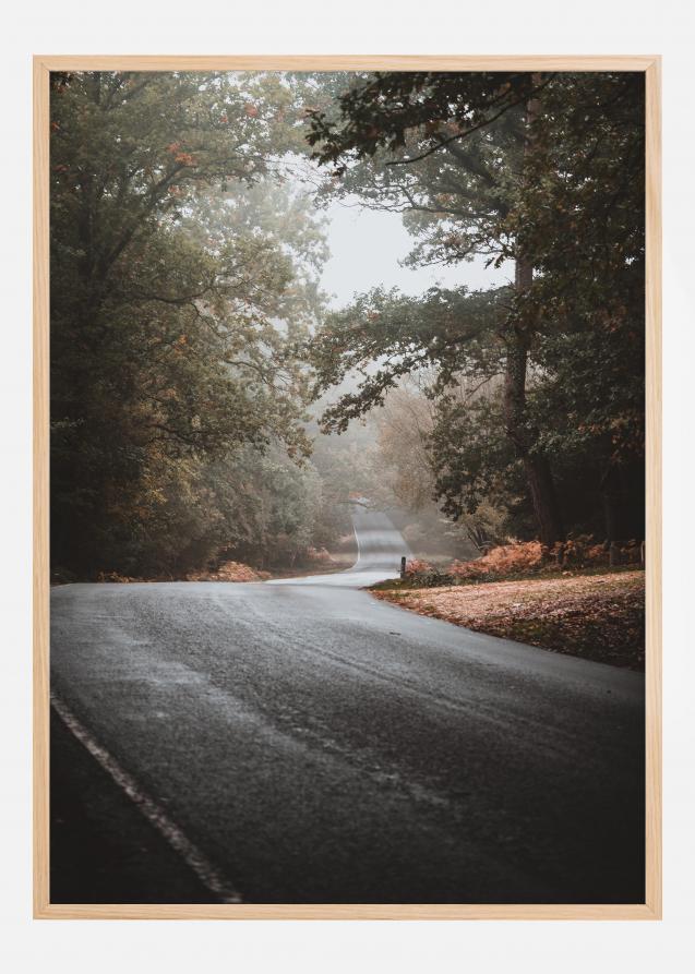 Autumn road Poster