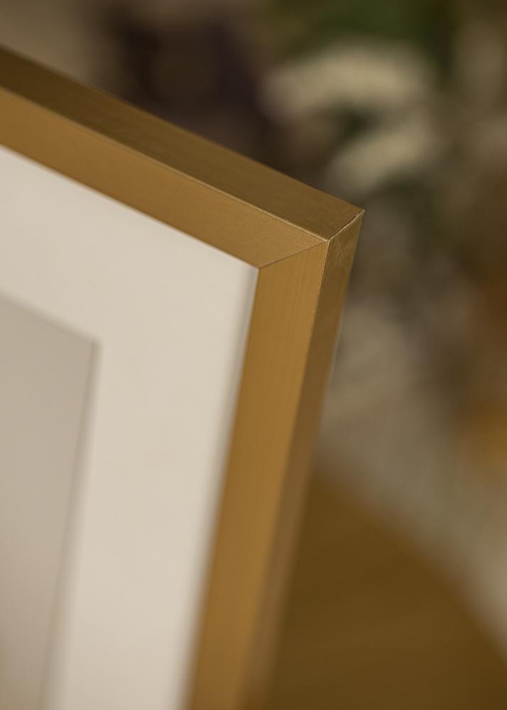 Rahmen Selection Acrylglas Gold 29,7x42 cm (A3)